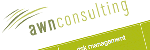 AWN Consulting website image
